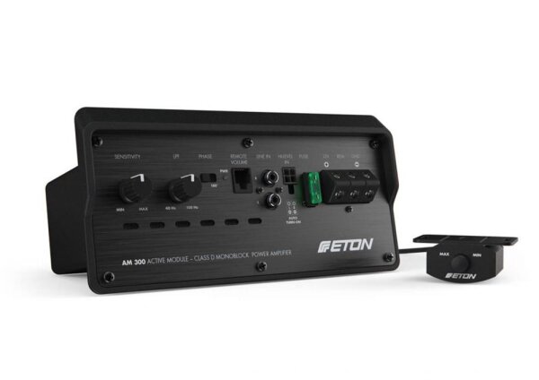 Eton AM 300 - Mono-Amplifiermodul 1 x 300 W Aktivmodul