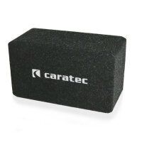 Caratec Audio CAW201 Subwoofer